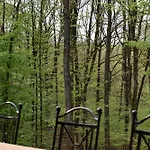 Cocon Dans La Foret * Philippeville