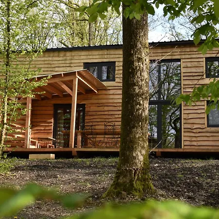 Chalet Cocon Dans La Foret