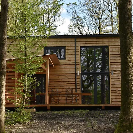 Cocon Dans La Foret * Philippeville