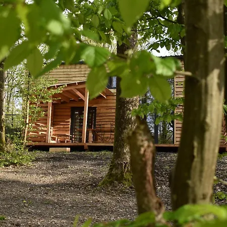 Cocon Dans La Forêt