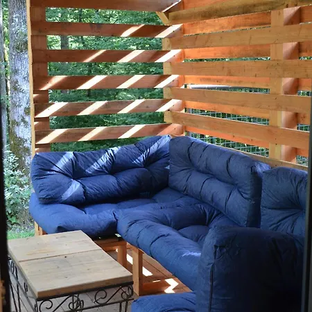 Cocon Dans La Foret