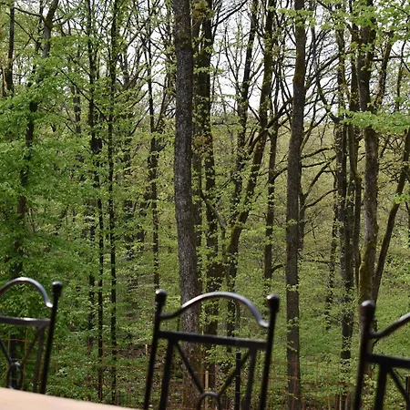 Cocon Dans La Foret * Philippeville